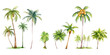 © EnelEva - Set of watercolor coconut trees on white background