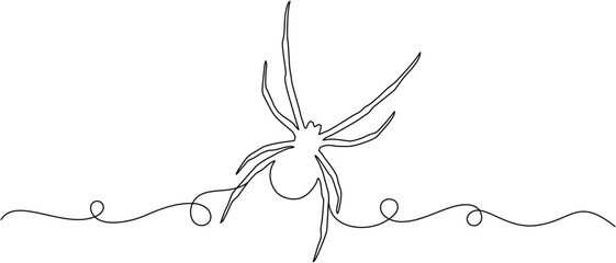 Wall Mural - A halloween spider in line art style for halloween day