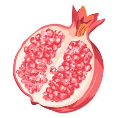 Poster - Pomegranate png sticker, fruit illustration on transparent background