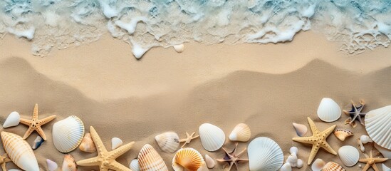 Poster - Sea sand with starfish and shells Top view with copy space