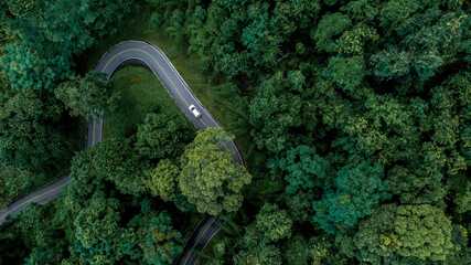 Wall Mural - Aerial top view road in forest with car motion blur. Winding road through the forest. Car drive on the road between green forest. Ecosystem ecology healthy environment road trip.