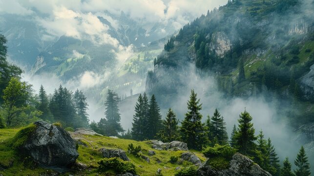 mountain view with forests and rocks and fog