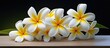 © HN Works - It is estimated that Indonesian native frangipani is a white frangipani flower with a yellow inside where the florets are not fully open and are small in size. Creative banner. Copyspace image