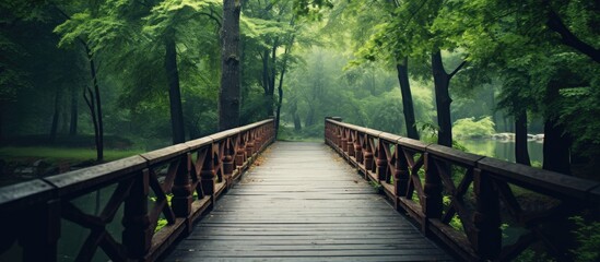 Poster - Wooden walkway Wood bridge. Creative banner. Copyspace image