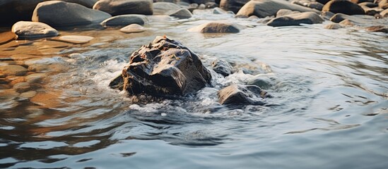 Sticker - Stone in a river with current water. Creative banner. Copyspace image