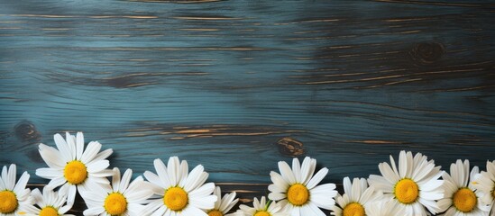 Poster - daisy flowers on bright wood table. Creative banner. Copyspace image