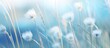 © HN Works - fresh blooming grass flower in garden in soft blue tone. Creative banner. Copyspace image