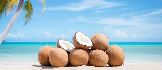 Canvas Print - Pile of coconuts. Creative banner. Copyspace image