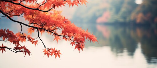 Aufkleber - branch. Creative banner. Copyspace image