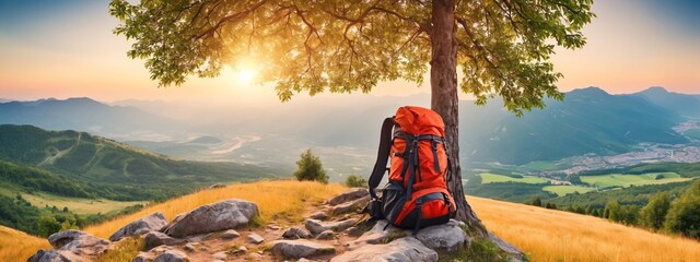 Wall Mural - Backpack on rock next to tree. An adventurer's backpack rest against a tree. Mountain trail adventure, hiking pack with scenic vista.