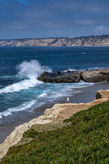 Wall Mural - 2023-12-31 THE ROCKY COASTLINE IN LA JOLLA CALIFORNIA WITH GREEN FOLIAGE AND A WAVE CRASHING ON A ROCK ALONG THE SHORELINE AND TORREY PINES IN THE DISTANCE