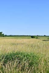 Sticker - Farm Field