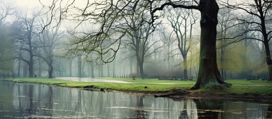 Poster - green park before the day it s been flooded in the water. Creative banner. Copyspace image
