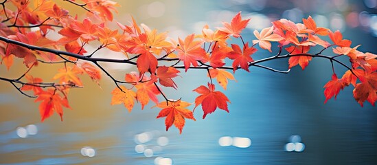 Wall Mural - Blooming in autumn. Creative banner. Copyspace image