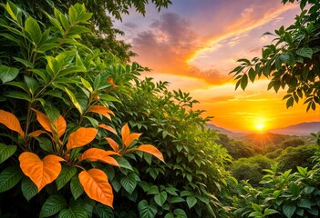 Wall Mural - Lush Green Leaves at Sunset