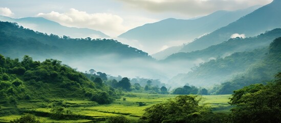 Poster - Nice mountain view green forest. Creative banner. Copyspace image