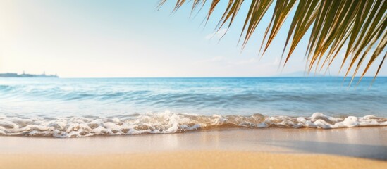 Poster - Soft focus dreamy sandy beach with palm tree leaf and sparkling waves. Creative banner. Copyspace image