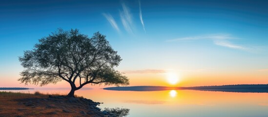 Poster - Sunset by the lake with blue sky and tree. Creative banner. Copyspace image