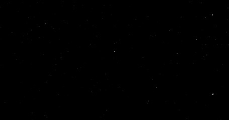 Wall Mural - Natural Organic Dust Particles Floating On Black Background. Dynamic Dust Particles Randomly Float In Space. Shimmering Glittering Dust Particles With Bokeh. Slow motion on Black Background.