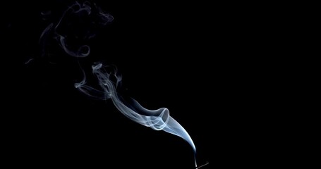 Wall Mural - Real smoke on a black background. Thin Flexible Trickle of Real Smoke. Colorful real smoke rises up. Ideal for background or over-layer with blending mode add, screen, lighten.
