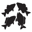 © TSDesigns - Vector different fish black silhouette isolated on white background