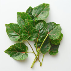 Sticker - A bunch of fresh organic Malabar spinach leaves with vibrant green color, placed against a white background.
