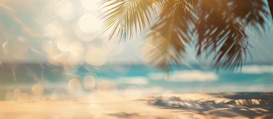 Sticker - Blurred palm tree silhouette on sandy beach with tropical bokeh background - ideal for summer vacation and travel theme. Ample room for text placement