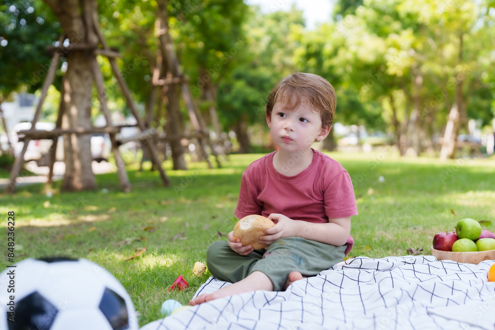 Young boy sits on blanket, holding bread, picnic basket with fruits nearby, soccer ball, outdoor family picnic scene. Relaxing family vacation Caucasian people on the weekend
