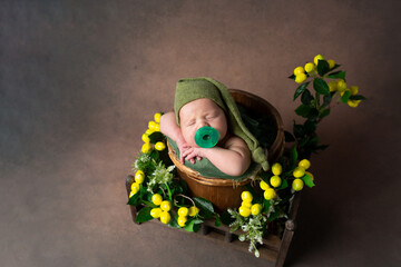 Wall Mural - baby in a wooden basket with yellow lemons? baby with a pacifier in his mouth