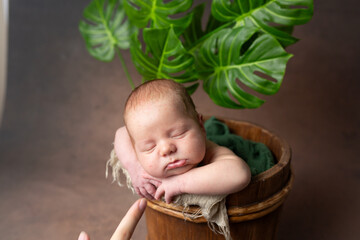 Wall Mural - a baby sleeping in a pot with a plant in it