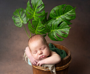 Wall Mural - a baby sleeping in a pot with a plant in it