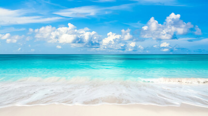 Wall Mural - Beautiful landscape of the sandy beach and crystal clear blue ocean
