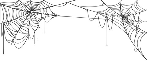 Wall Mural - halloween spider web isolated on transparent background. hector venom cobweb set. vector illustratio
