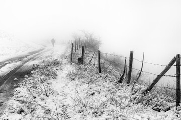 Wall Mural - fence in the snow