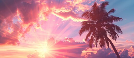 Silhouette of a tropical palm tree against a sunset sky with sun rays and abstract cloud background. Perfect for conveying the idea of summer vacation, nature trips, and adventure.