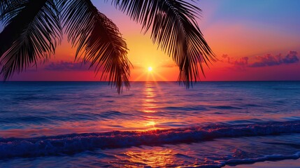 A beautiful sunset with a palm tree's silhouette perfectly framing the descending sun, the colors of the sky reflected in the calm ocean waves.