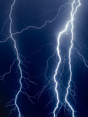 Wall Mural - forked lightning bolts against dark blue background
