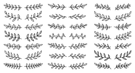 Wall Mural - laurel text dividers doodle set. wedding decorative elements with leaves. branches, divider ornament