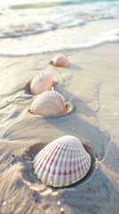 Wall Mural - Calm beach scene with pale pink seashells and smooth sand, providing a clean area for text, perfect for coastal and marine advertisements.