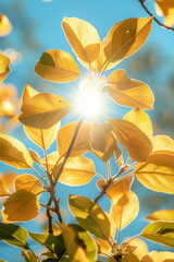 Canvas Print - Golden Autumn Leaves Illuminated by Sunlight on a Clear Blue Sky Day Nature's Beauty Captured in Sunlit Foliage