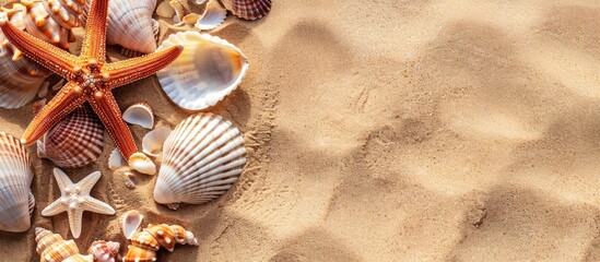 Wall Mural - Seashells and starfish adorn sandy beach in a flat lay, perfect for adding text. Embrace the summer vibes.