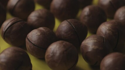 Wall Mural - Closeup of macadamia nut seeds 