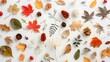 © Farid - Autumn composition. Dried leaves, flowers, rowan berries on white background. Autumn, fall, thanksgiving day concept. Flat lay, top view, copy space.