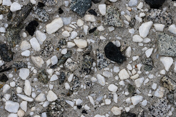 Wall Mural - Concrete wall texture with pebbles. Decorative rough concrete surface with white, black and gray stones. Perfect for background and design. Closeup. High resolution.