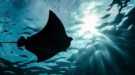 Wall Mural - Stingray gliding, close-up silhouette, stark contrast against sunlit water above, serene underwater, no humans