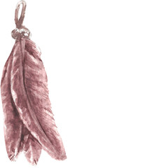 Wall Mural - Watercolor pink feather illustration on transparent background.
