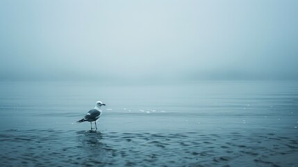 Canvas Print - Lonely seagull perched by the ocean on a dismal day