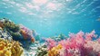 © Hassan - A vibrant coral reef under a clear blue sea