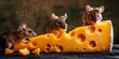 © Anastasiia - Mice pull off final heist with a giant cheese wheel one mouse takes it too far. Concept Cheese Heist, Mice Adventure, Funny Animals, Overzealous Mouse
