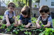 © Nastasja - Girl and boy taking care of small vegetable plants in raised bed, holding small shovel. Childhood outdoors in garden